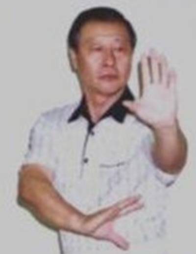 Mestre Niu Shen Xian (牛胜先)