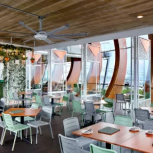 mdttw8yzyul8utz7jjg9